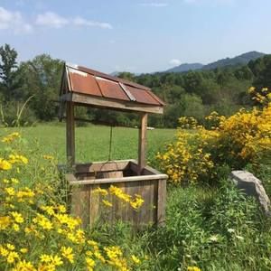 Meet your Posher, Shandale